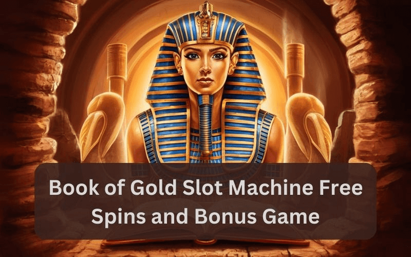 book of gold slot