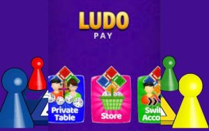 ludo pay